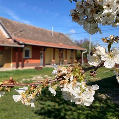 Appartamento Tiszavirag Vendeghaz Tiszacsege Esterno foto