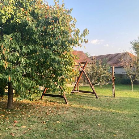 Appartamento Tiszavirag Vendeghaz Tiszacsege Esterno foto