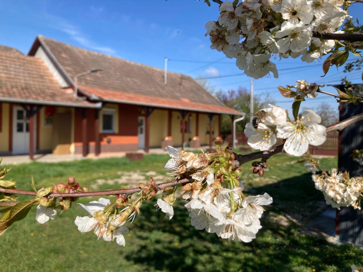 Appartamento Tiszavirag Vendeghaz Tiszacsege Esterno foto